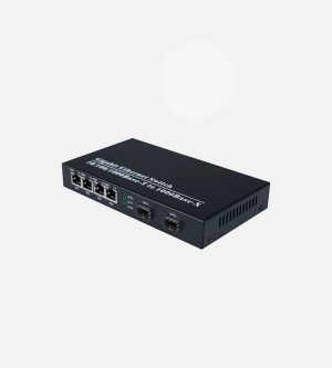 MT-2204G2G-SFP Gigabit SFP Media Converter
